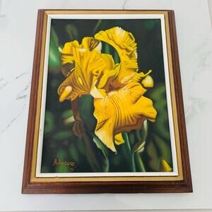 Vintage Signed A. Nucum Realism Yellow Iris Oil On Canvas Painting Wood Frame